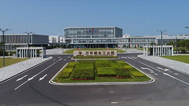 混凝土|助力建设乐玩LEWIN化学工业园
