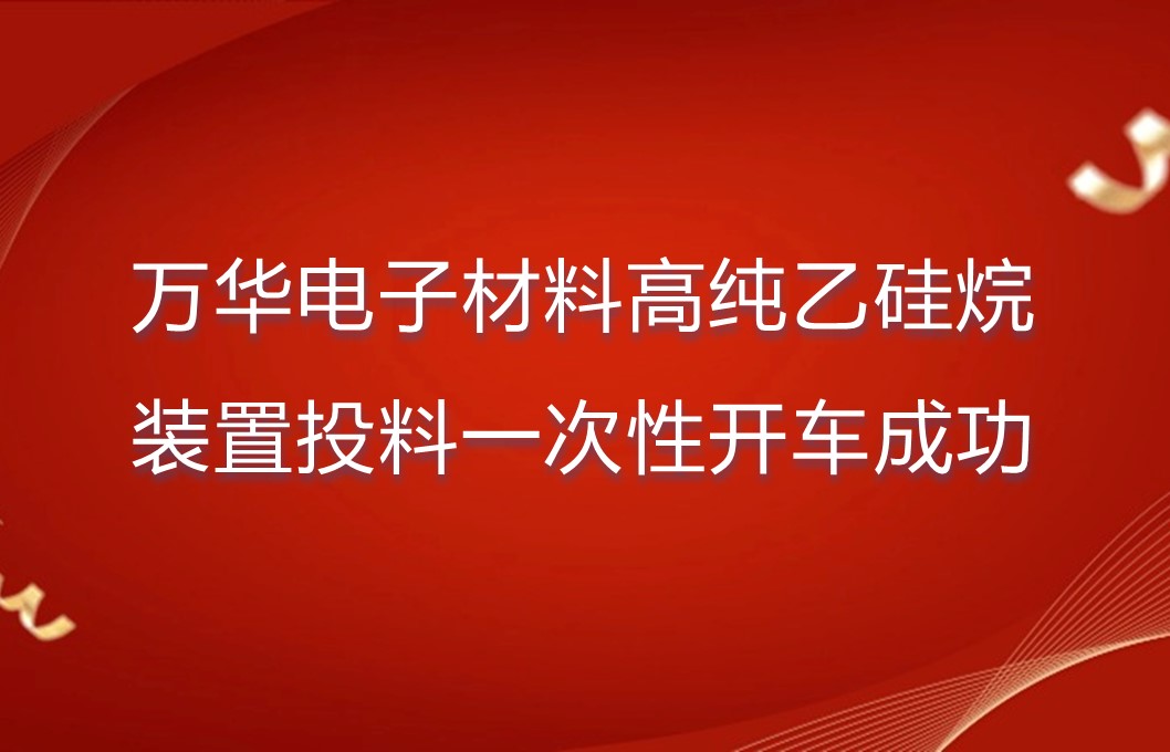 乐玩LEWIN电子材料高纯乙硅烷装置投料一次性开车成功